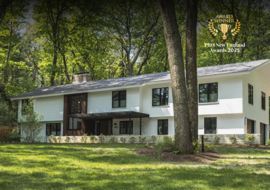 Full Gut Renovation – INDIAN PIPE