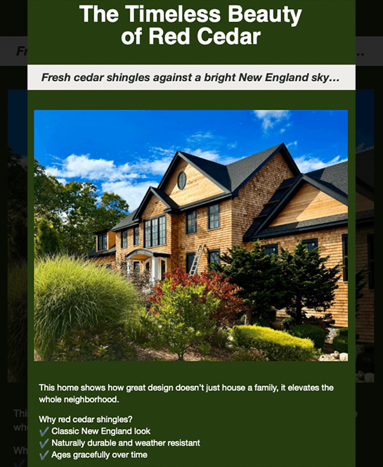 TOP Newsletter October 4