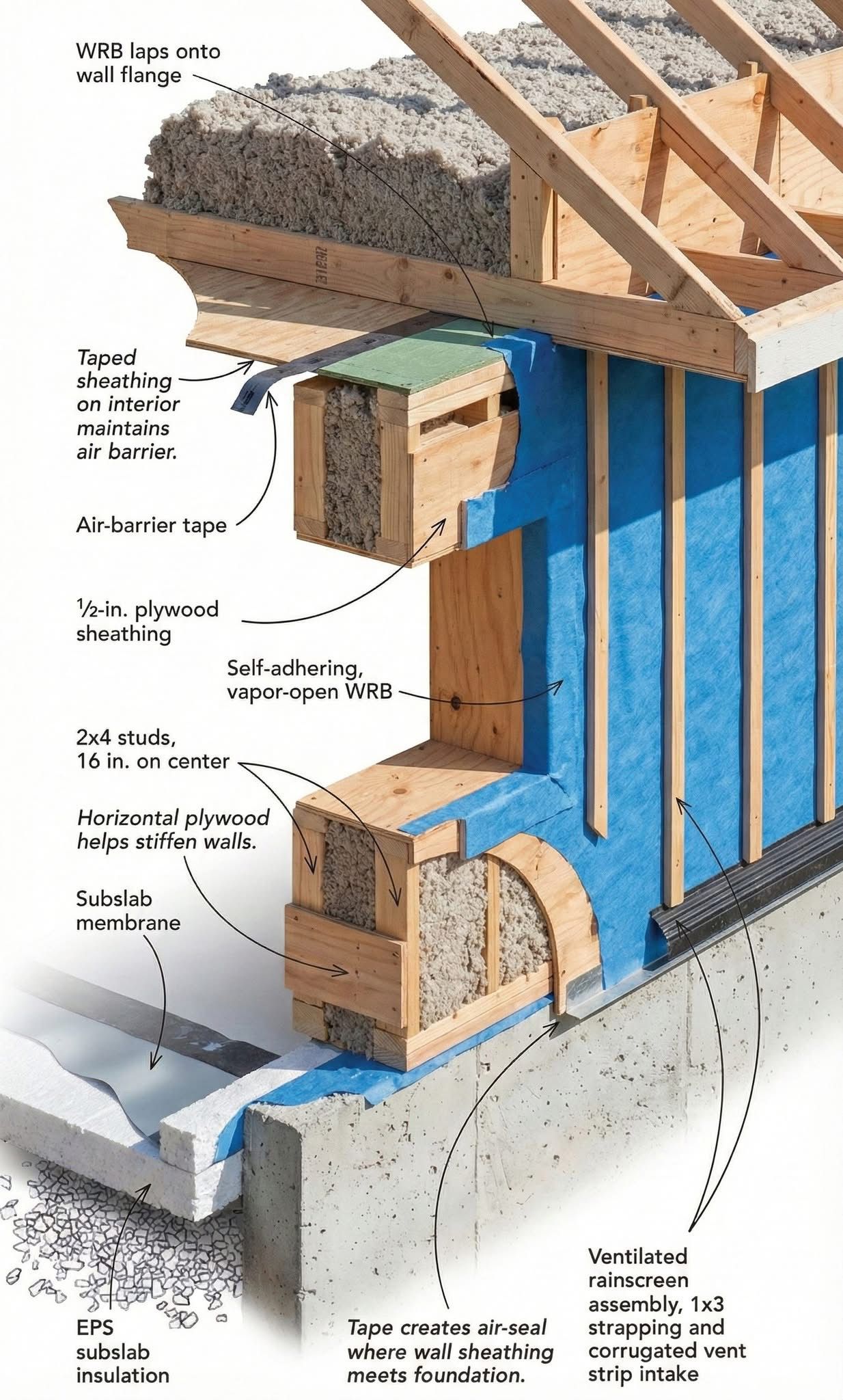 WhatsApp Image 2026-02-27 at 4.14.54 PM